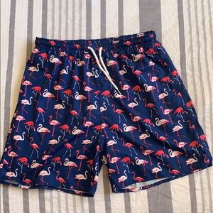 Flamingo Swim Trunks